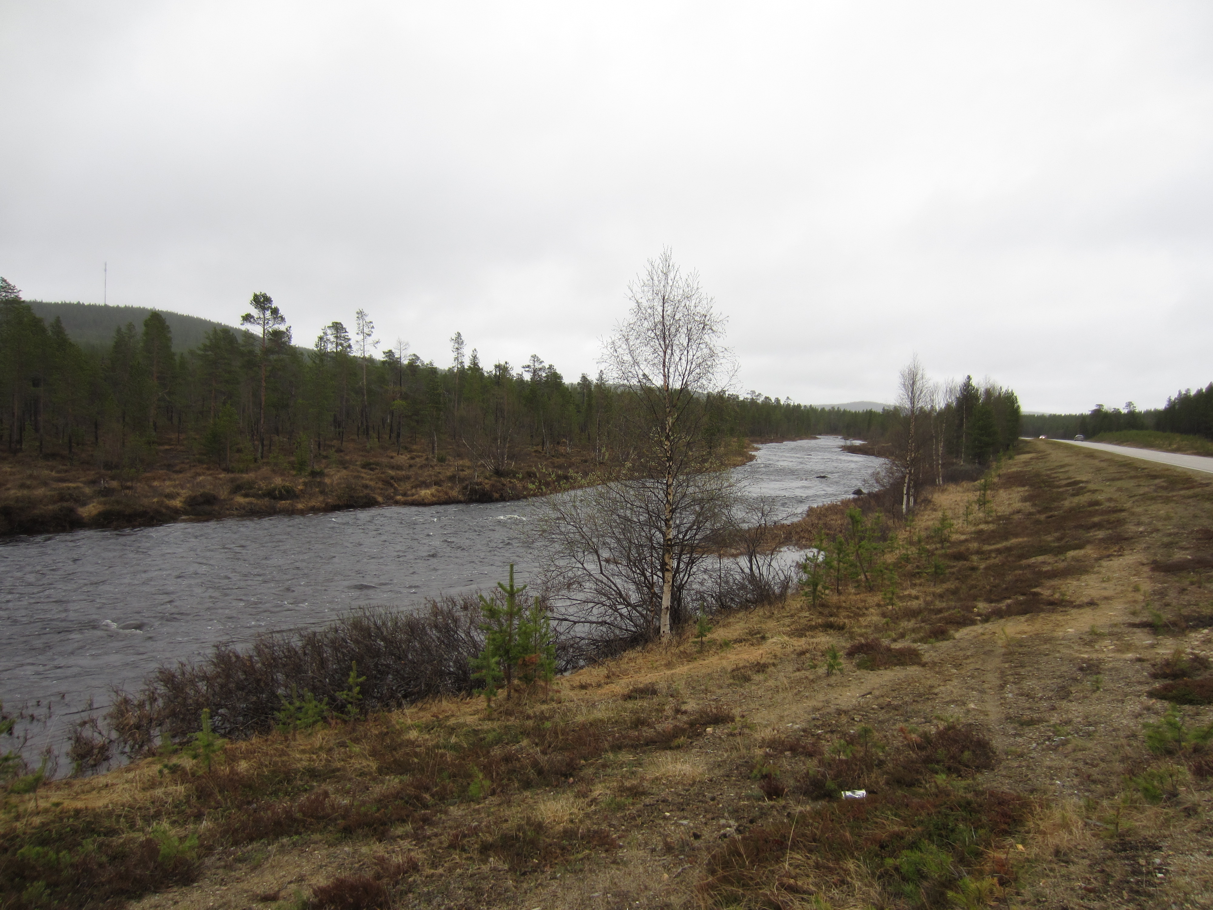 Fluss bei Ivalo